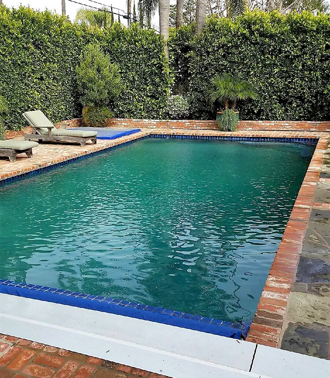 FB_IMG_1742429890828 EDIT CROPPED