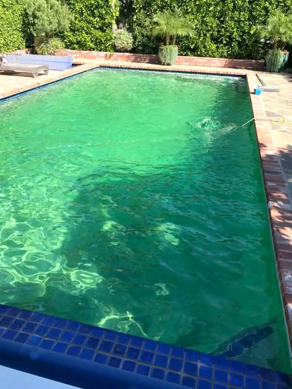 FB_IMG_1742429895808 EDIT