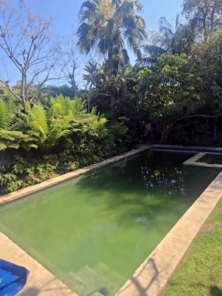 Messenger_creation_9BE2B30C-A684-40B5-964D-1D610DA7F3D8